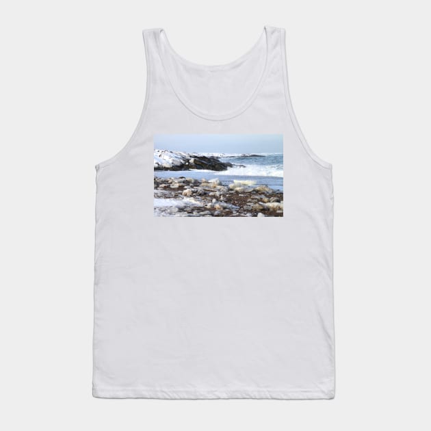 Ice & Breakers at Hudson Bay Tank Top by Carole-Anne